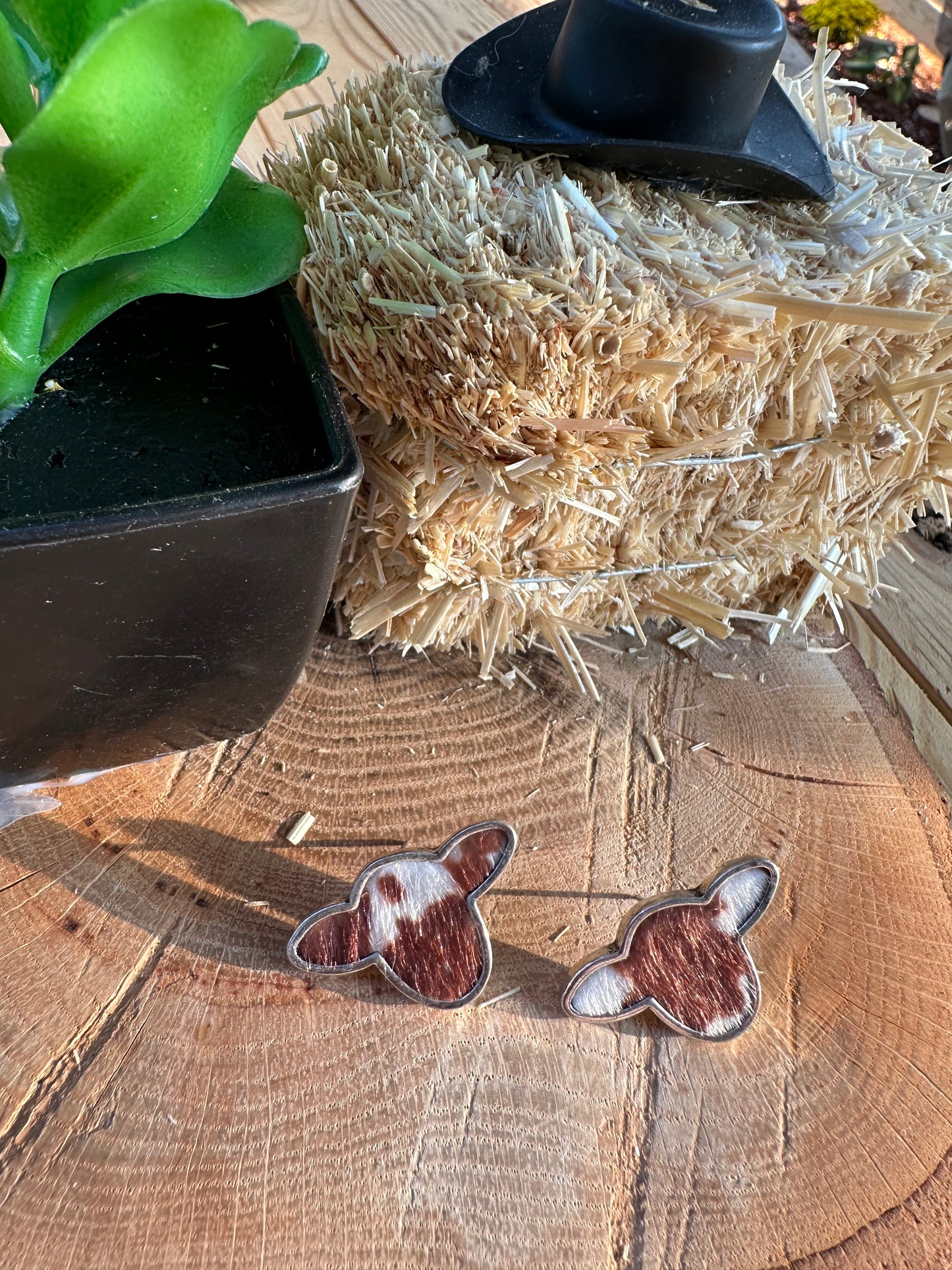 Vaquita Stud Earrings (Brown)