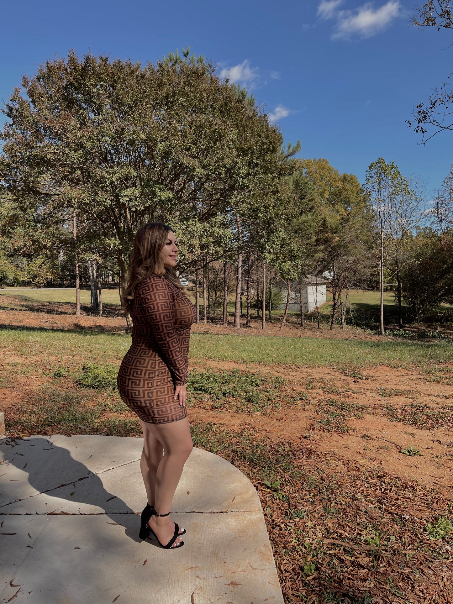 Veronica Dress